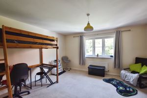 Photo 11- click for photo gallery